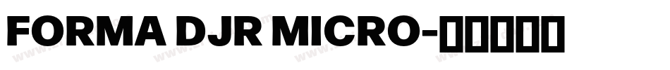 FORMA DJR MICRO字体转换